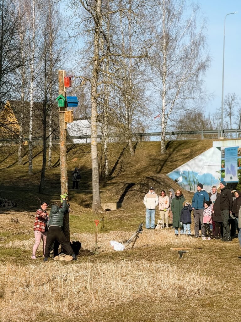 Latvija stārķu zeme.